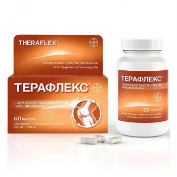 Терафлекс капс. 500мг+400мг N60